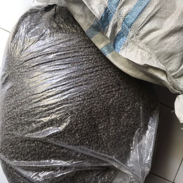 

TERMURAH BIJI KOPI GREEN BEANS ACEH GAYO SEMI WASH SPECIALTY GR 1