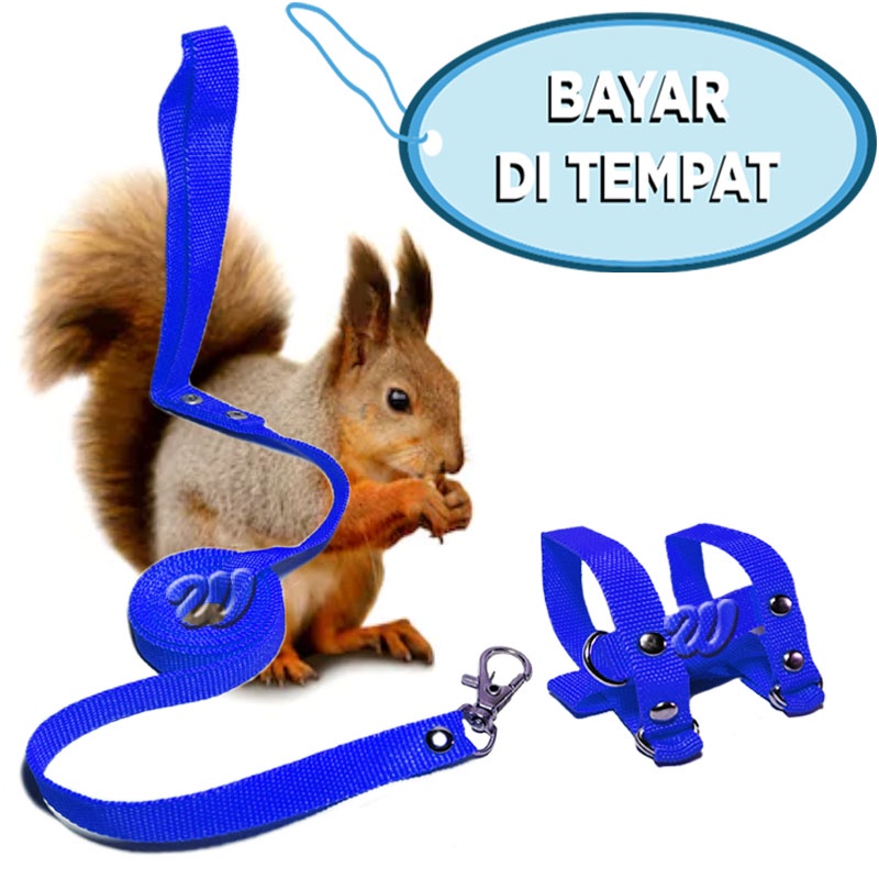 Tali Sugar Glider Tupai Kadal Hernes Kadal Hamster Harness H