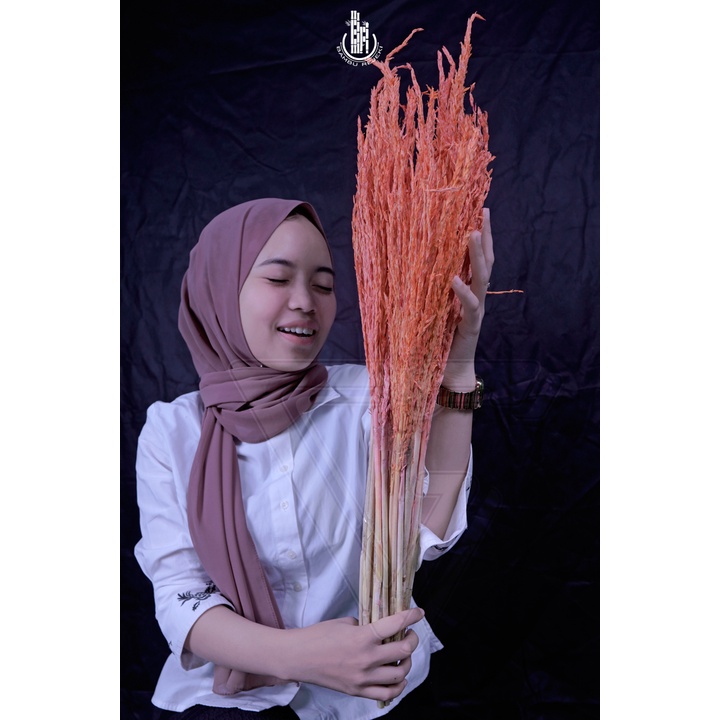 HOME DECOR BUNGA JAGUNG KERING HIASAN RUMAH, BUKET, BUNGA CORNELIA PESTA MURAH MERIAH!! - ORANGE