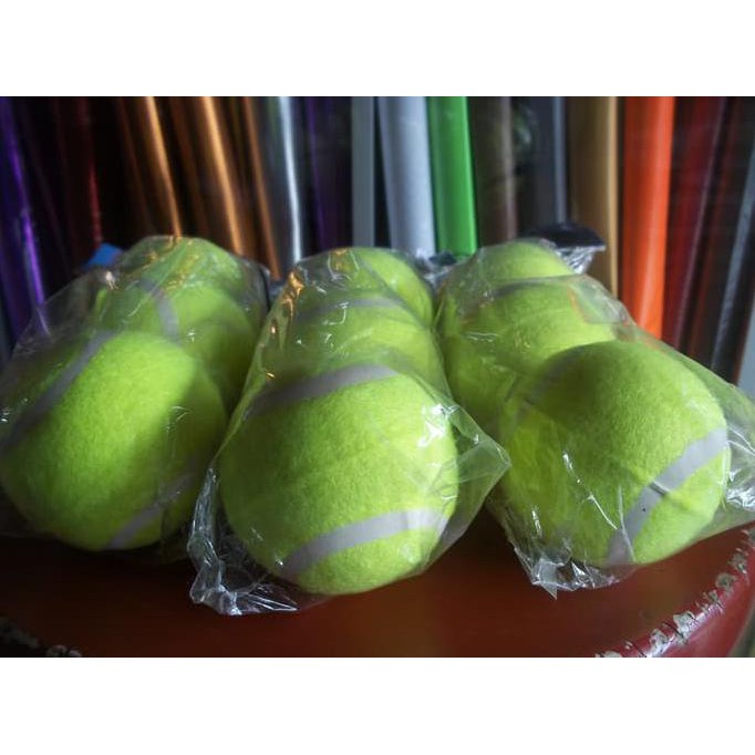 Sale Bola Tenis / Kasti Terbaru