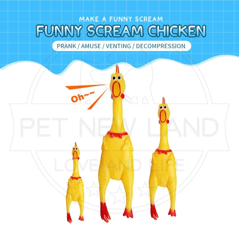 Mainan Kucing Anjing Ayam Karet Anti Sobek Screaming Chicken Pet Toys Mainan Hewan