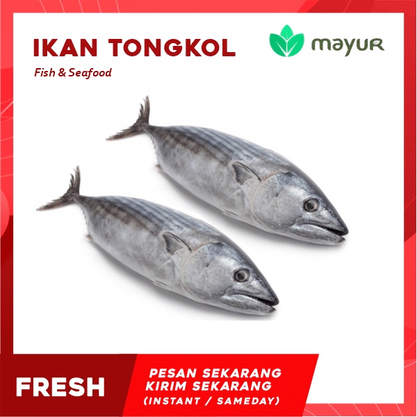 

Ikan Tongkol Premium 1 Pack (Isi 2)