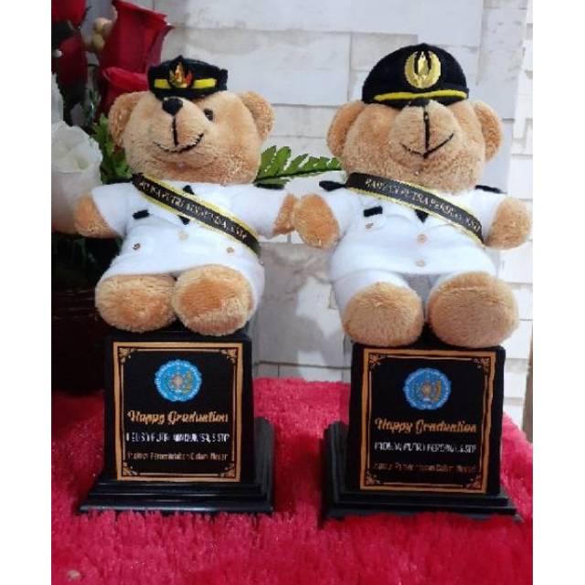 Piala Boneka wisuda IPDN / Universitas
