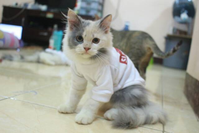 Kaos Supreme untuk kucing dan anjing lengan panjang size S M L XL