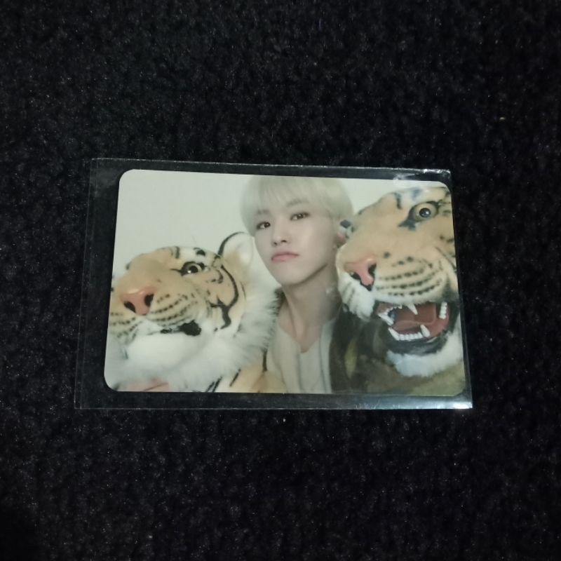 SEVENTEEN OFFICIAL PHOTOCARD SEASON GREETING SG 2020 HOSHI