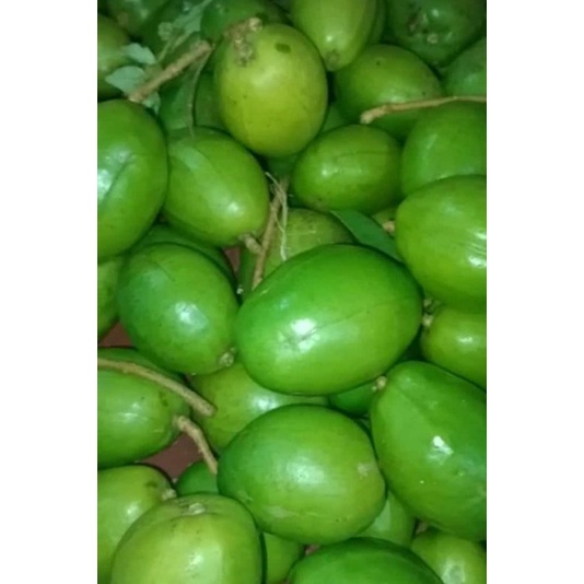 

sale kedondong fres 1 kg