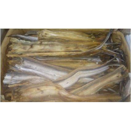 

Ikan Asin MALONG ( 500 Gr )