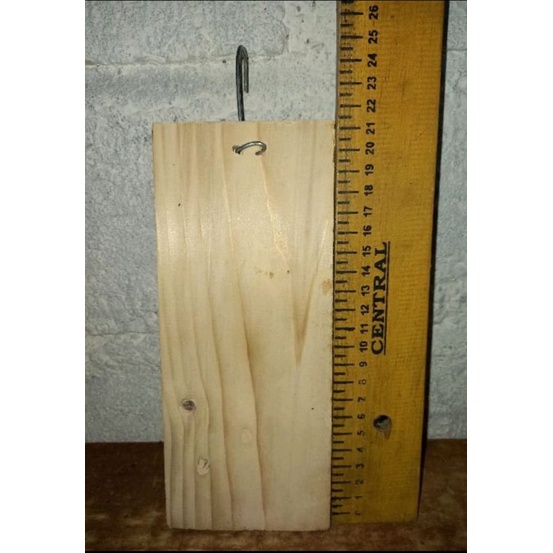 MEDIA TANAM ANGGREK KAYU JATI BELANDA