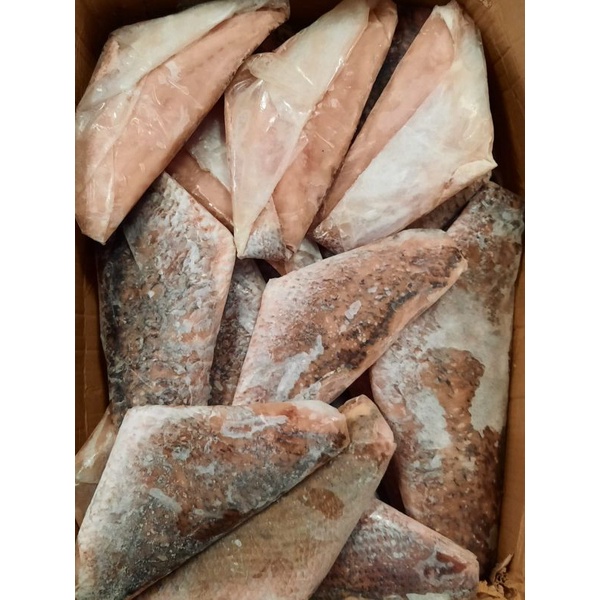 

kakap jenaha fillet