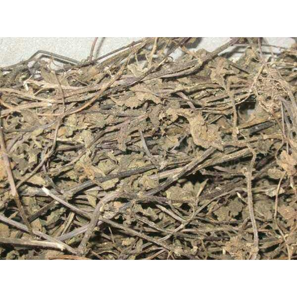 

100 G GR GRAM DAUN CINCAU HITAM KERING LENGKONG LENG KONG CINGCAU XIAN REN CAO