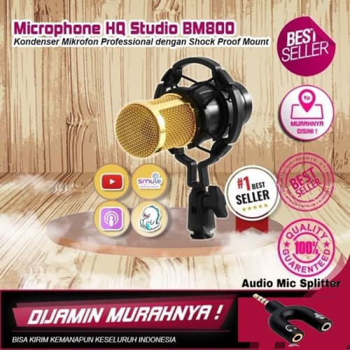 Mic Recorder Condenser Laptop Karaoke Smule BM800 Microphone Condensor