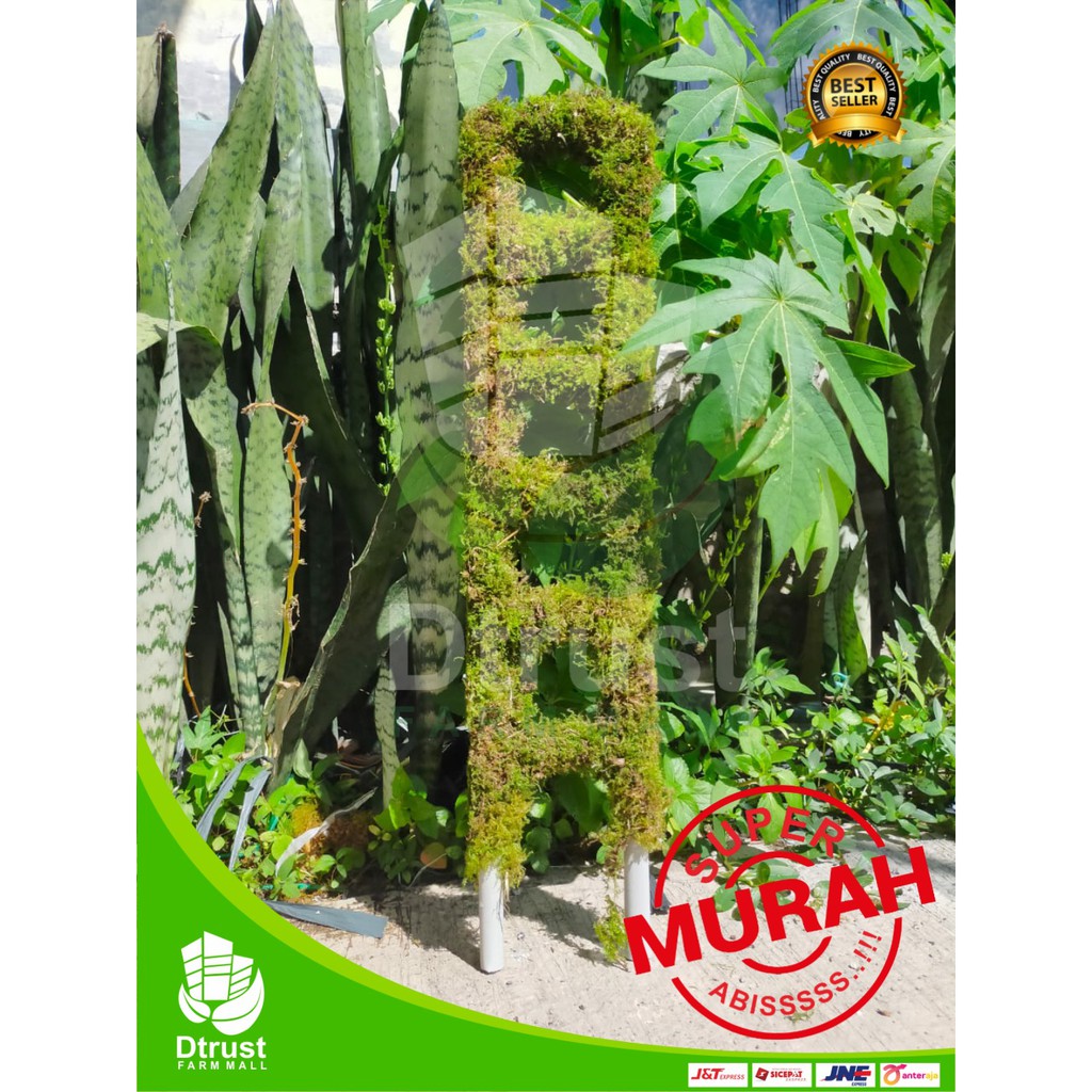 Turus Tangga Lumut Pipa 60 cm Tiang Penyangga Tanaman Lapis Lumut Spagnum TERMURAH HARGA GROSIR