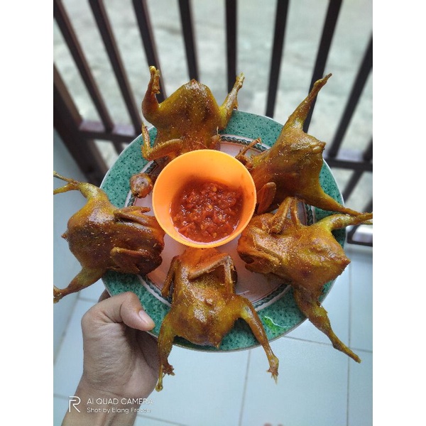

Puyuh Ungkep isi 5 + sambal