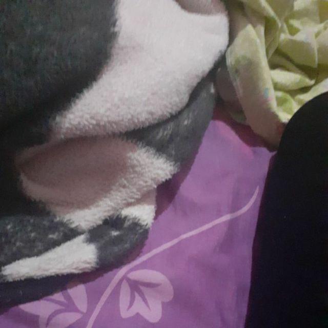 Botol 200ml Botol Chiby 72 Pcs Per Pack