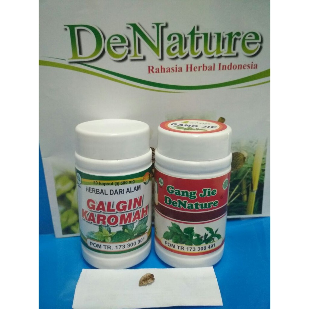 Obat kencing batu galgin & gang jie