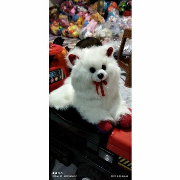 boneka kucing anggora