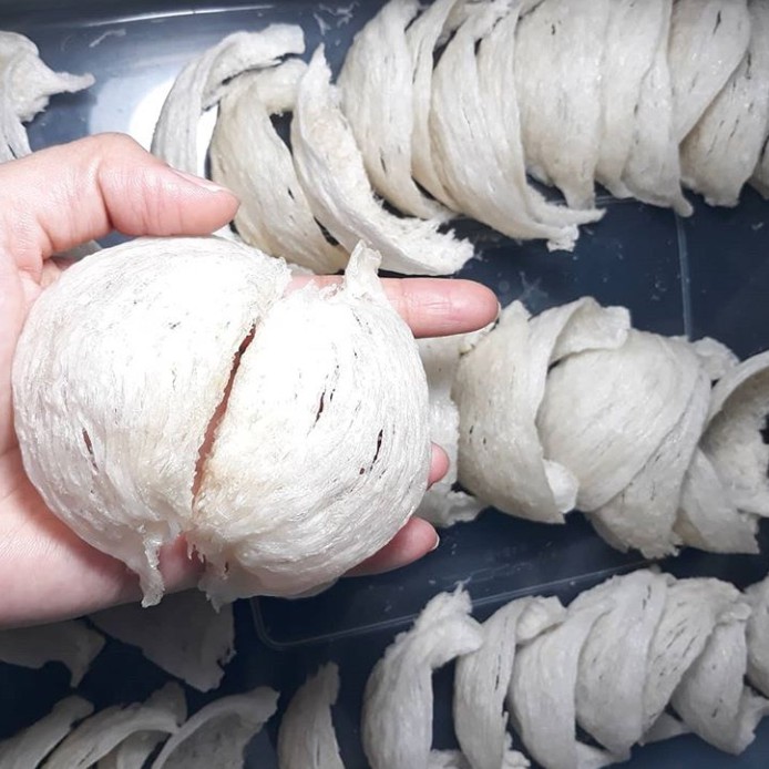

Sarang Burung Walet Asli Original 10 gram Mangkuk Mangkok Kotak Hancuran Patahan Bersih atau Kotor