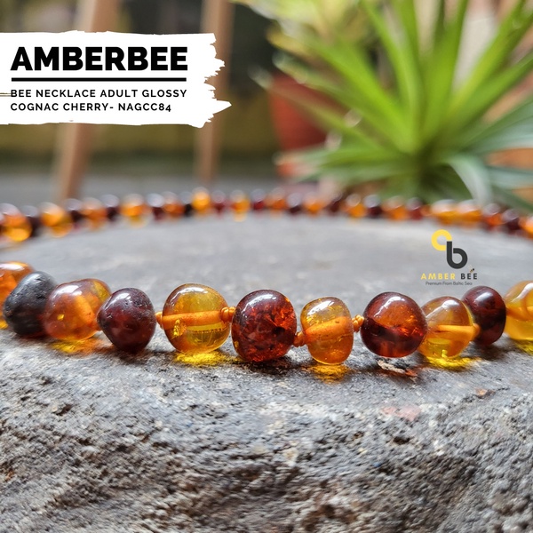 Kalung Amber Dewasa Premium Glossy Cognac Cherry by Amber Bee NAGCC84