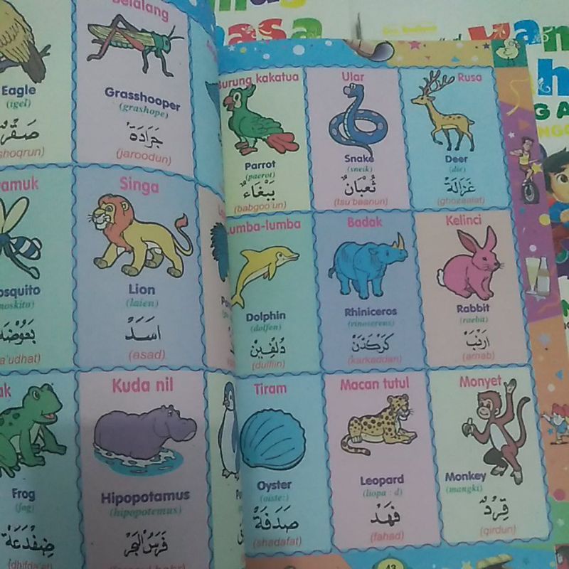 kamus 3 bahasa bergambar. kamus Indonesia Inggris arab*(grmer putih)