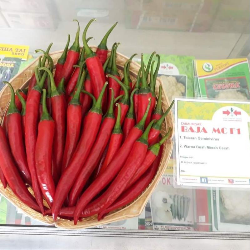 15 biji - Benih CABE MERAH BESAR hibrida