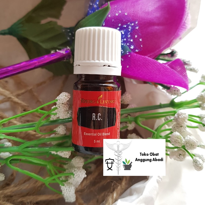YL Minyak Esensial / Essential Oil RC 5ML SEGEL