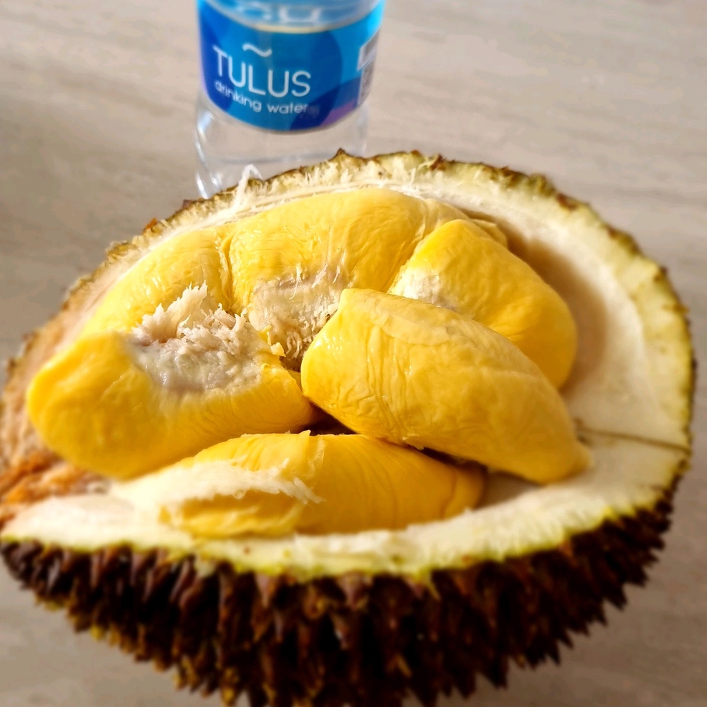 

Durian Musangking Buah Utuh Segar