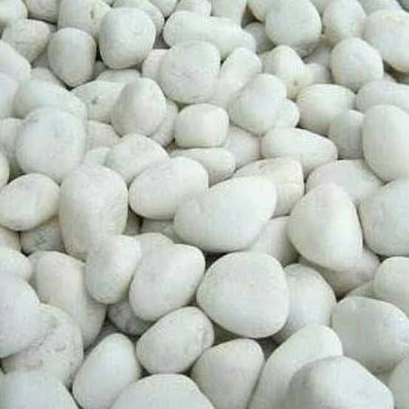 1kg batu koral putih ukuran kecil / batu taman