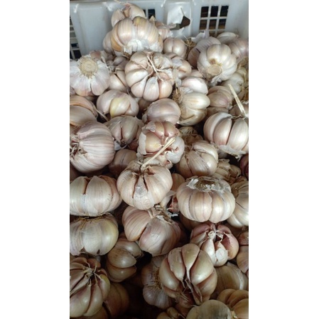 

Bawang Putih Sico 1kg