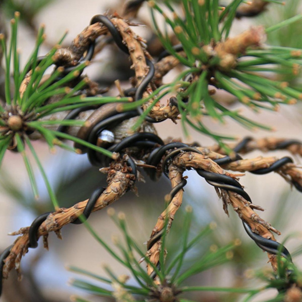 【 ELEGANT 】 Galihonsai paramuditaires 1mm 1,5mm 2mm parkitome stapelrchard galihendable stapelnodized stapelluminum asfalant stapelodelling stapelastener stapelool