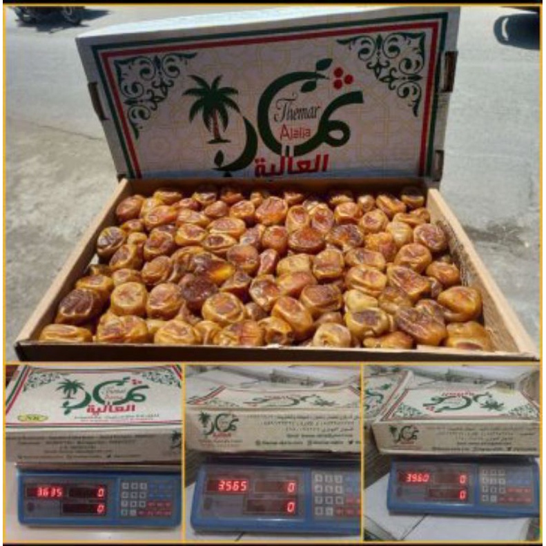 

KURMA SUKARI AL QOSIM