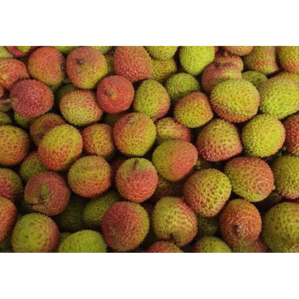 

Buah lecyy