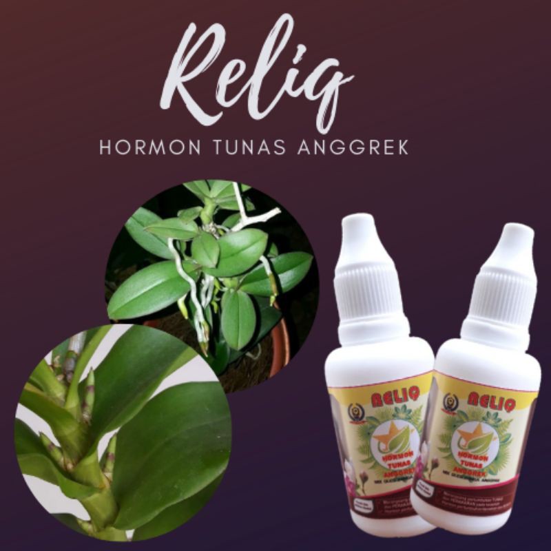 Pupuk Hormon Penumbuh Akar Dan Tunas, Pupuk Hormon Untuk Pertumbuhan Tunas