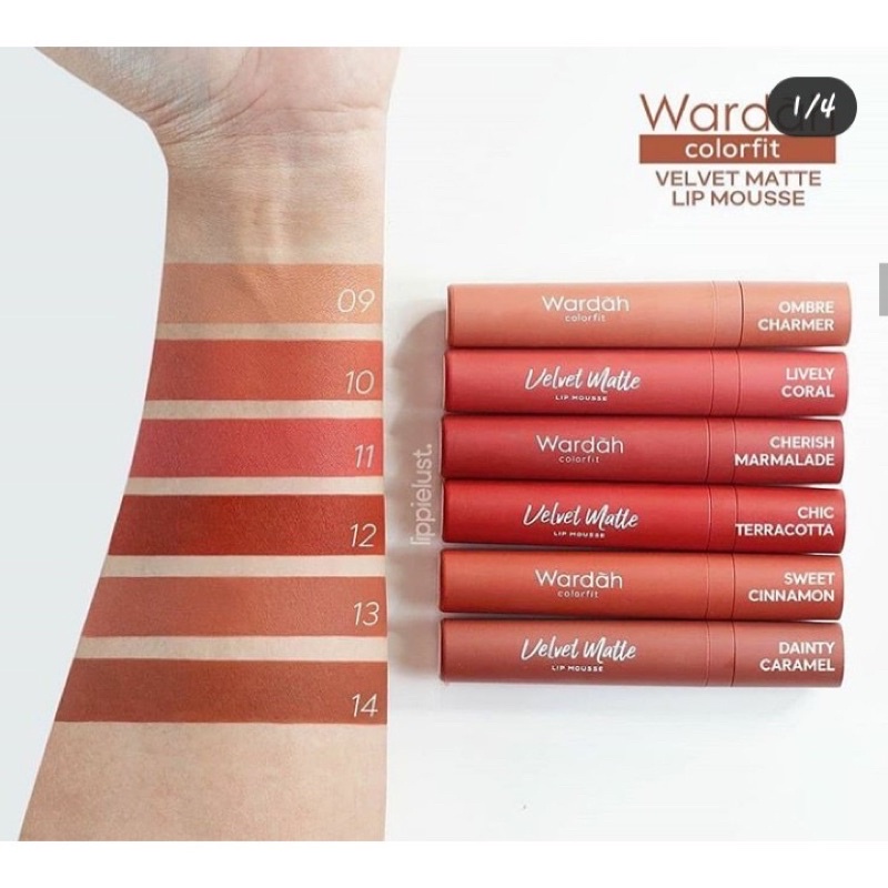 WARDAH COLORFIT VELVET MATTE LIP MOUSSE 14WARNA