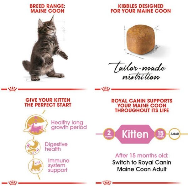 Royal Canin Kitten Mainecoon 4kg 4 kg Makanan Anak Kucing Maine Coon