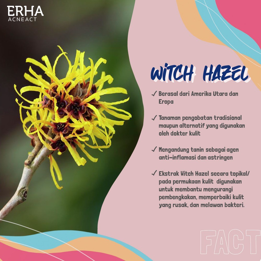 ERHA Sabun Wajah Jerawat - Acneact Witch Hazel BHA Gentle Acne Facial Wash