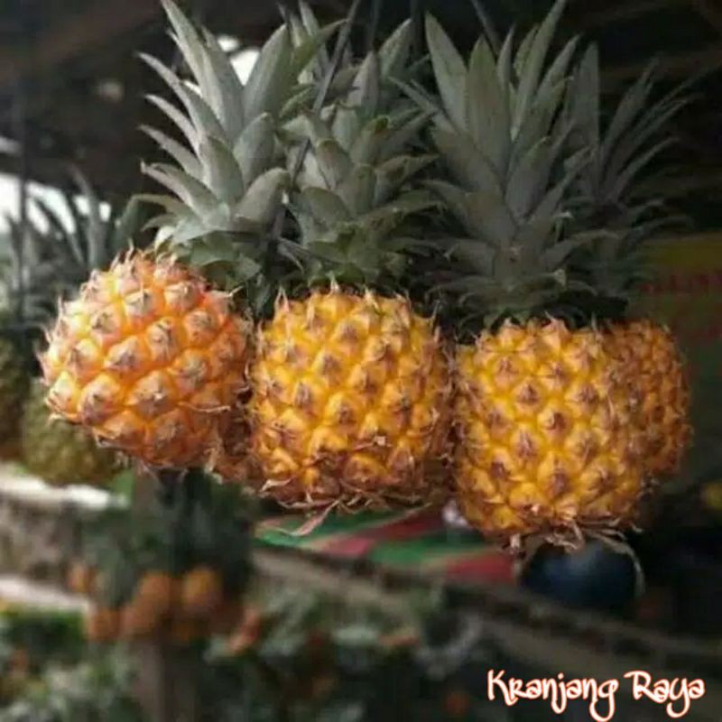 Nanas Madu per buah