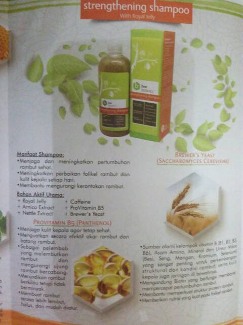 Bee botanics hair set (paket perawatan rambut rontok dan botak