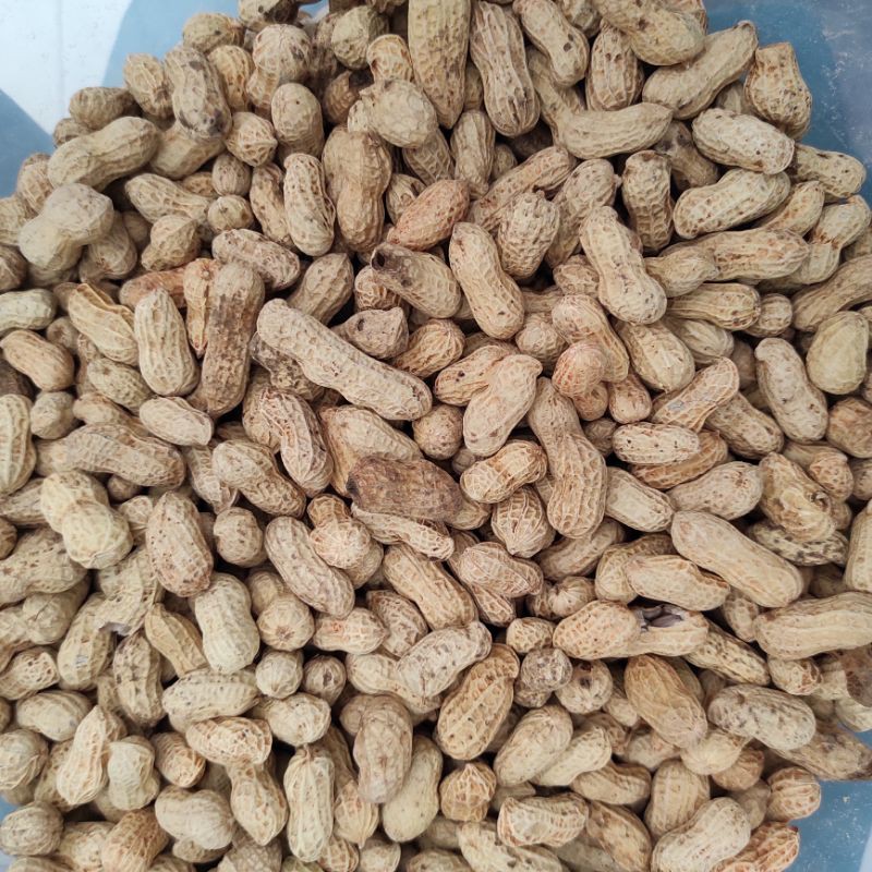 

KACANG KULIT OVEN SUPER 250GR/ Snack kiloan