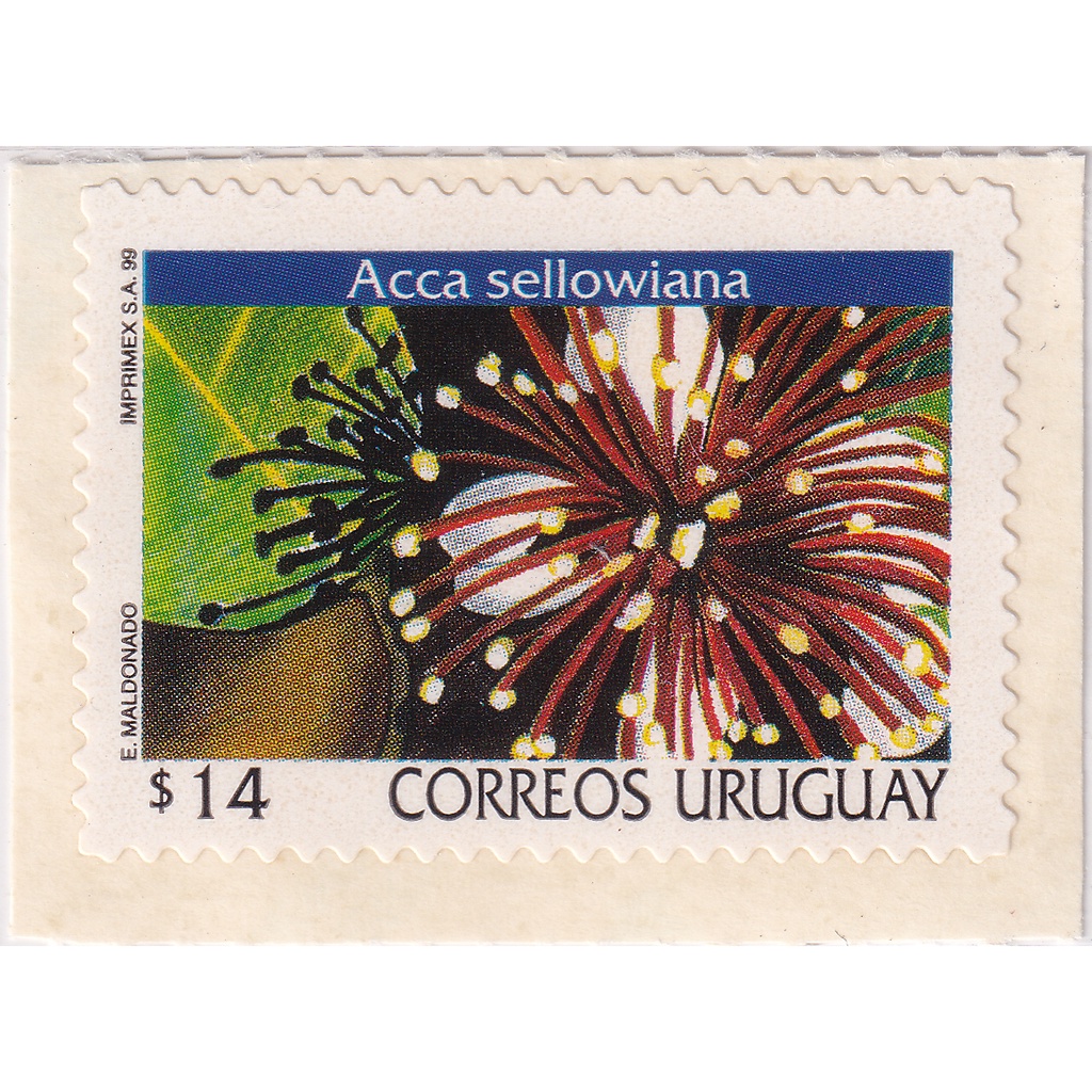 

Prangko Uruguay 1999 - Flowers