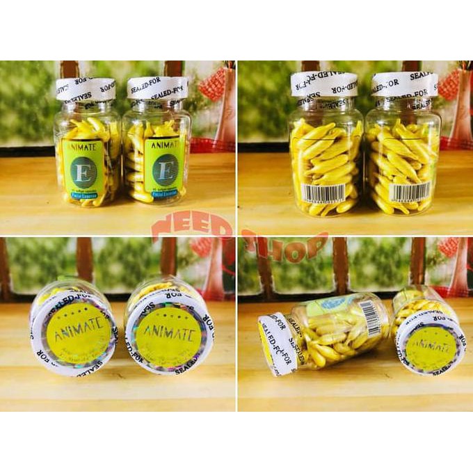 Serum Animate Wajah Animate Serum / Vitamin Animate / Vitamin E Isi 60