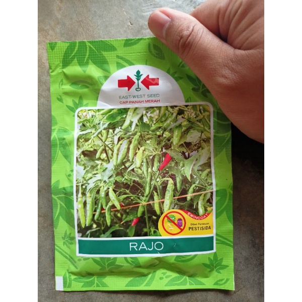 Bibit Cabe Rawit Rajo Cap Panah Merah Eceran