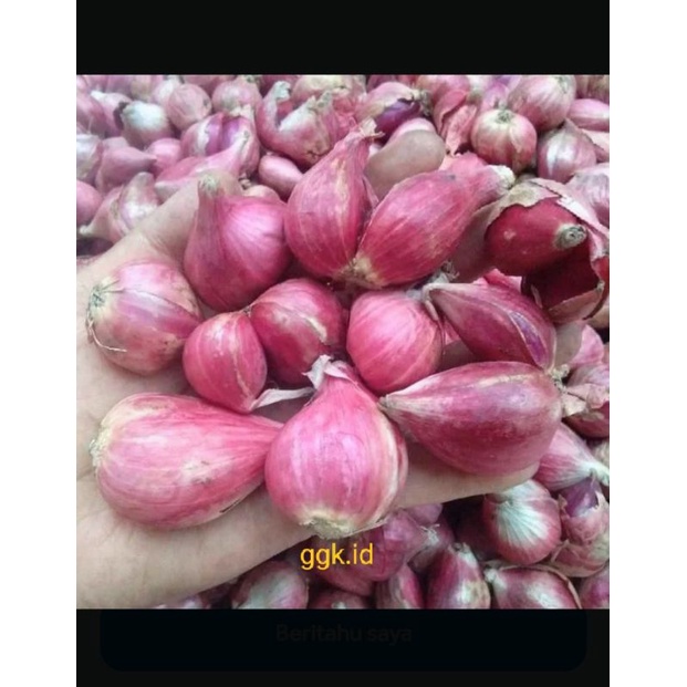 

Bawang Merah (500gram)