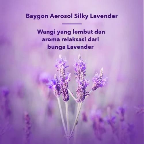 Baygon Aerosol Silky Lavender 200ml / 600ml / 750 ml