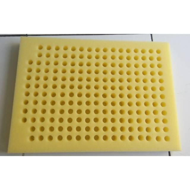 Busa tempat telur walet kuning