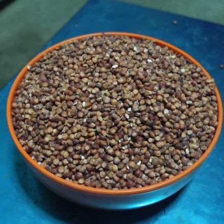 

SORGUM KETAN 250 gram