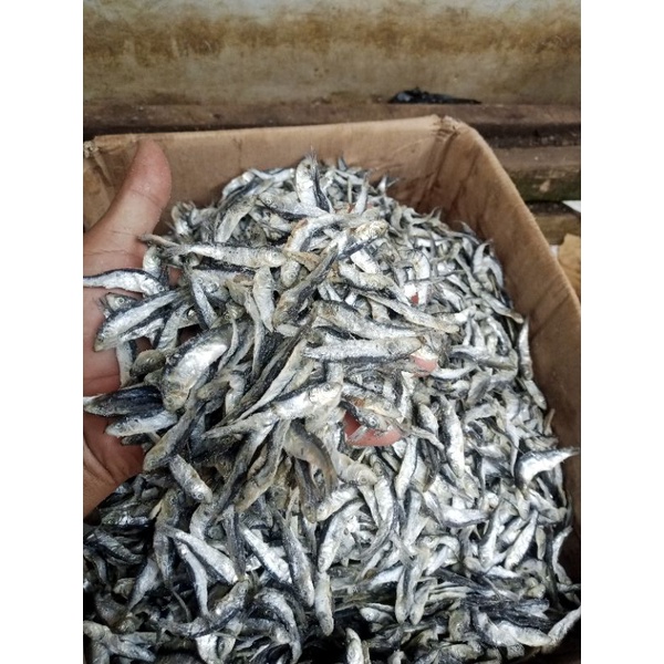 

Ikan Asin Jambal Lemet Menit