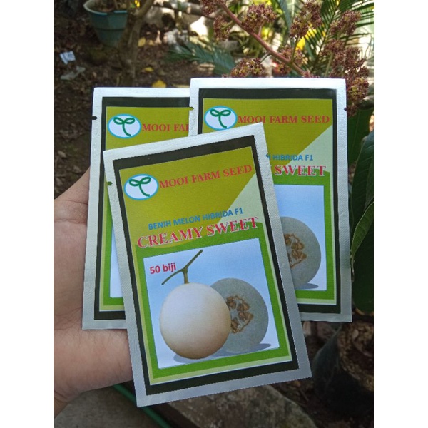 Benih Melon Honeydew Daging Putih Manis isi 50 biji