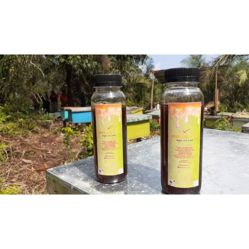 

Madu Hutan Asli Jambi