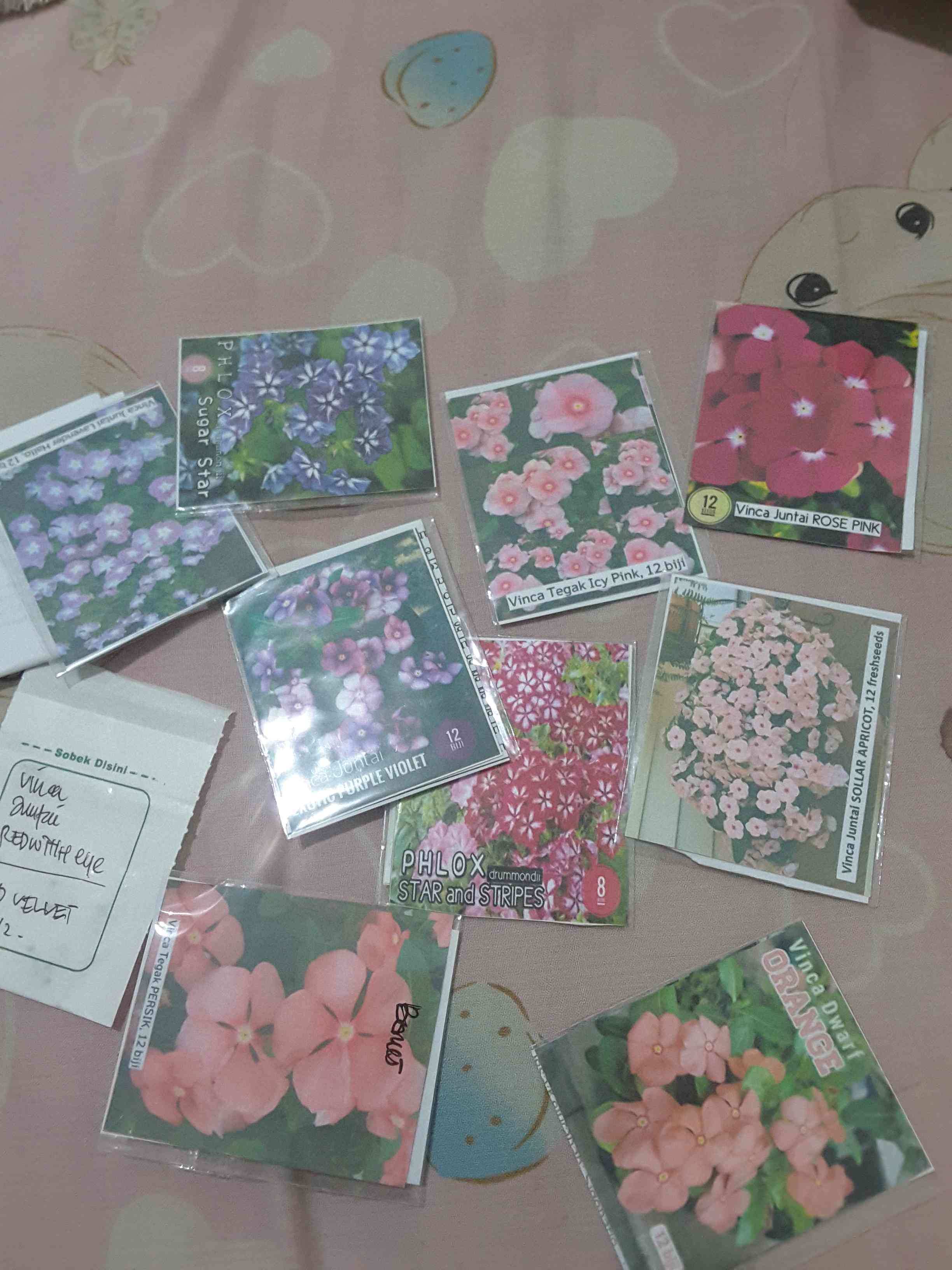 Phlox Sugar Star, 8 Biji