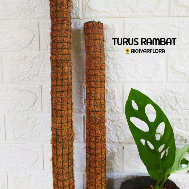 turus tanaman rambat 50CM / penyangga tanaman / turus murah / turus 50CM
